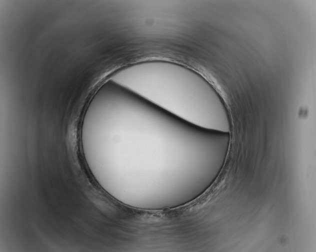 X0000103230386200808280955