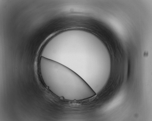 X0000103230387200808280955