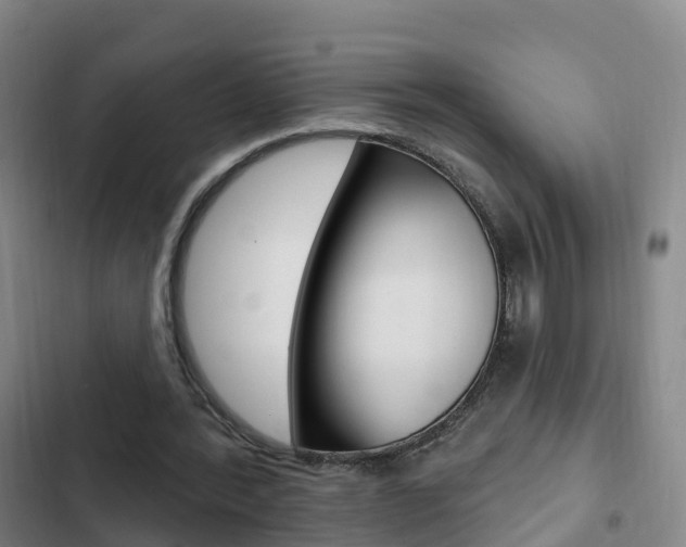 X0000103230388200808280955