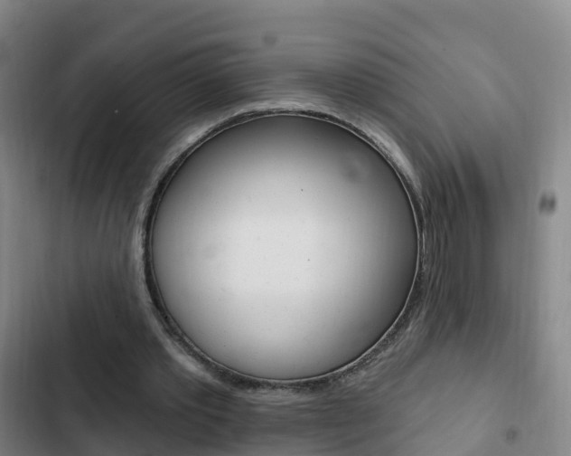 X0000103230389200808280955