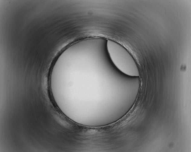 X0000103230390200808280955