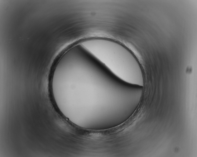 X0000103230391200808280955