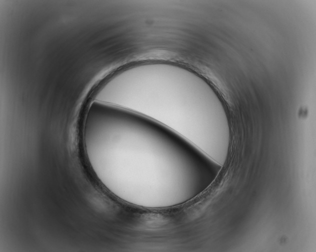 X0000103230392200808280955