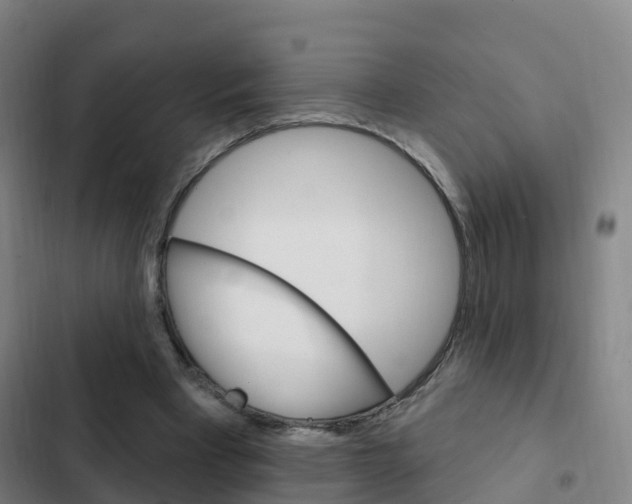 X0000103230393200808280955
