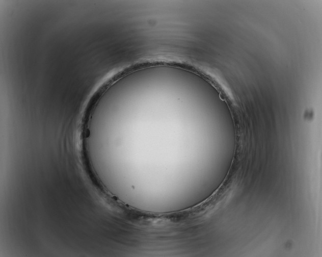 X0000103230395200808280955