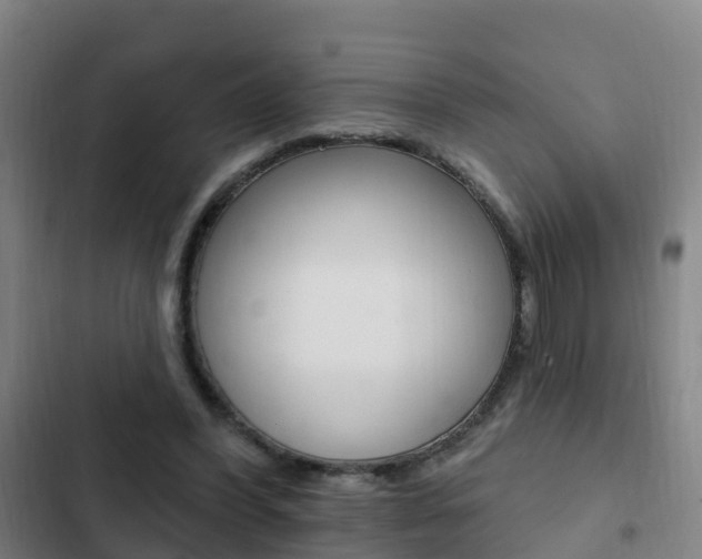 X0000103230396200808280955