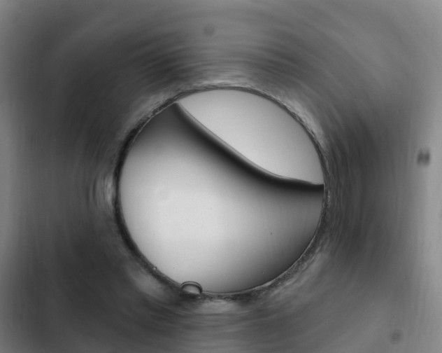 X0000103230397200808280955
