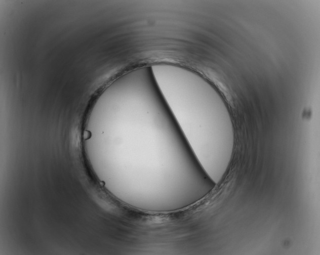 X0000103230398200808280955
