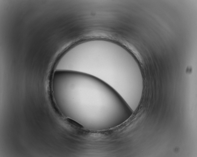 X0000103230399200808280955