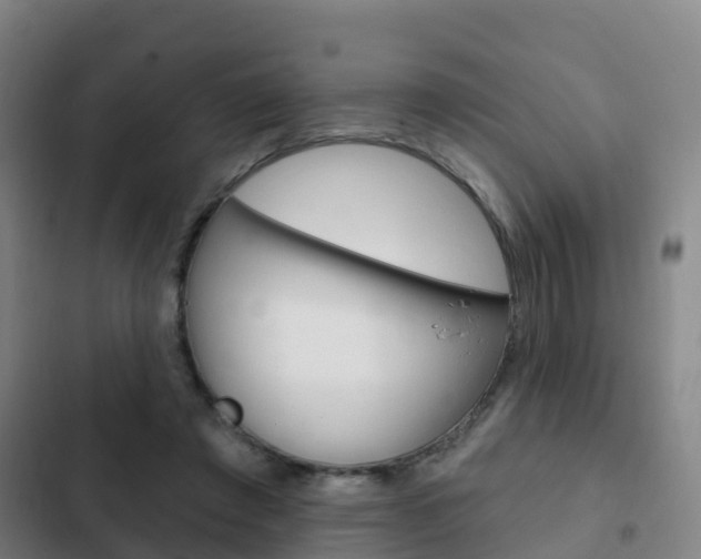 X0000103230401200808280955