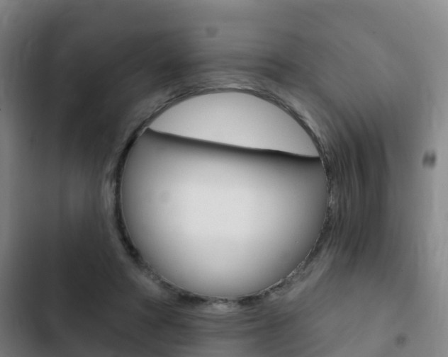 X0000103230402200808280955