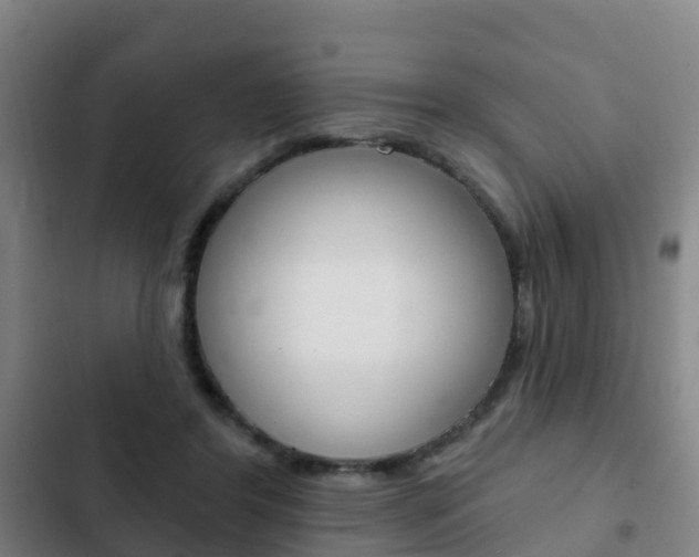 X0000103230404200808280955