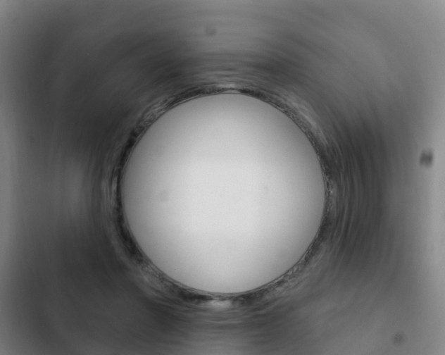 X0000103230406200808280955