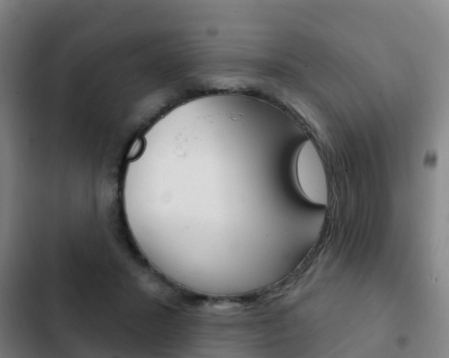 X0000103230407200808280955