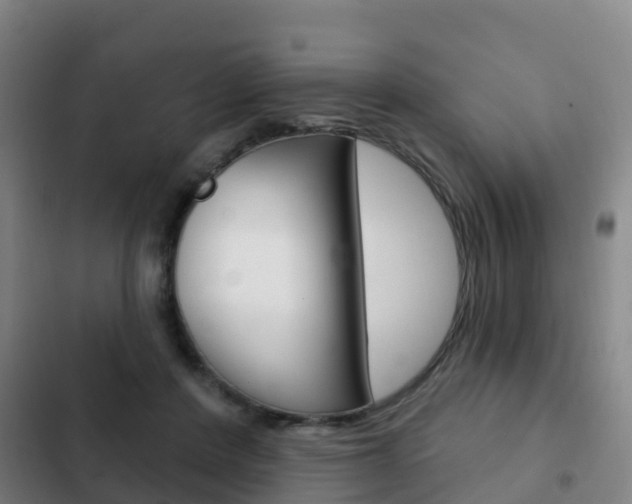 X0000103230408200808280955