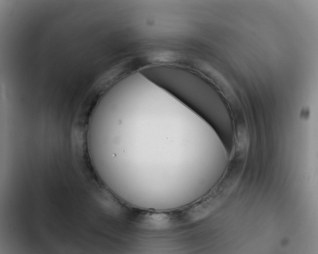 X0000103230409200808280955