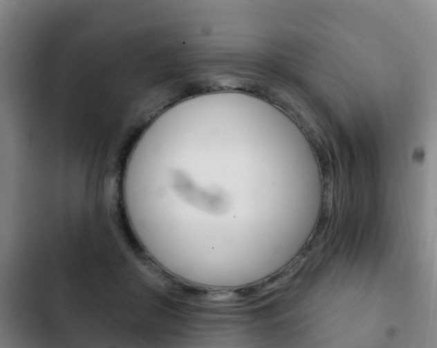 X0000103230410200808280955