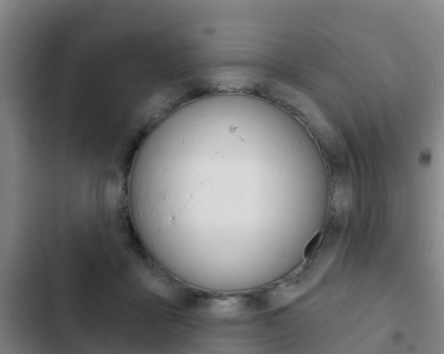 X0000103230411200808280955