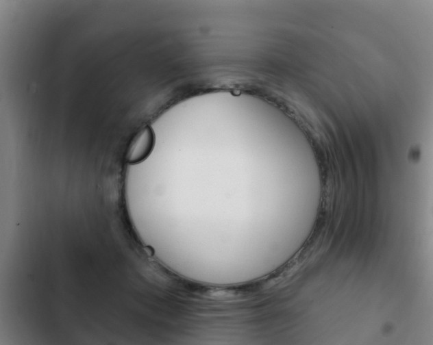 X0000103230413200808280955