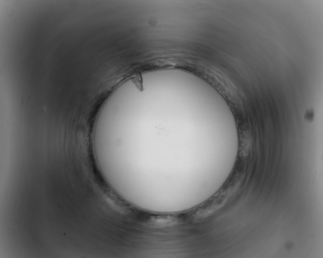 X0000103230414200808280955