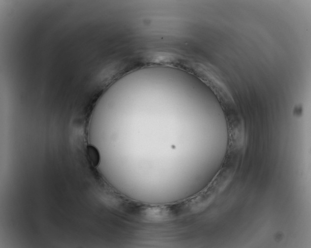 X0000103230415200808280955