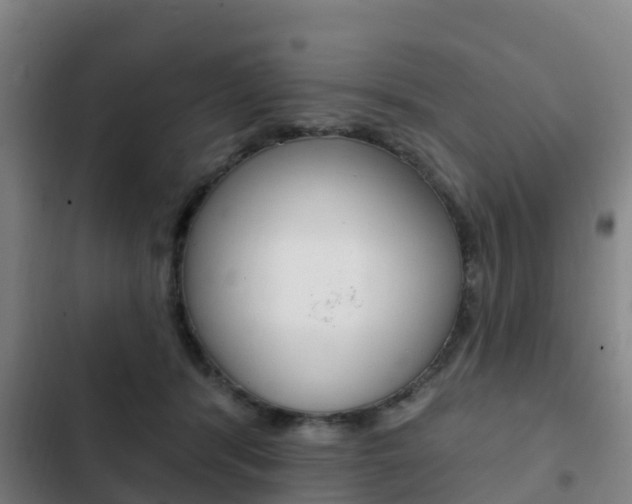 X0000103230416200808280955
