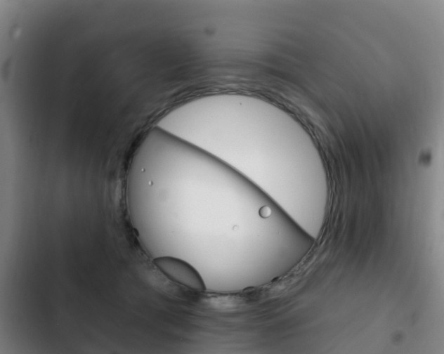 X0000103230417200808280955