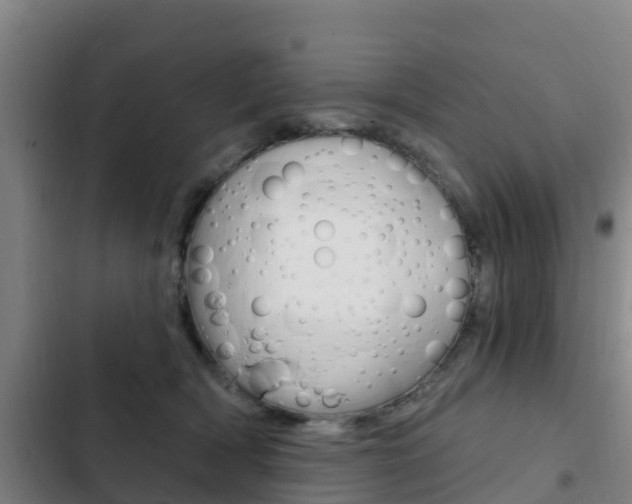 X0000103230418200808280955