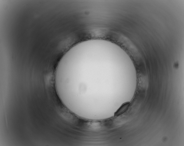 X0000103230419200808280955