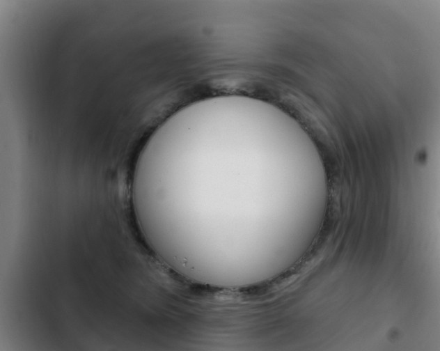 X0000103230420200808280955