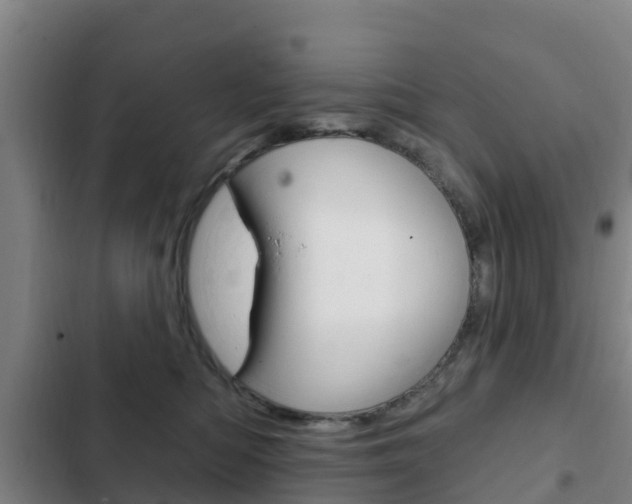 X0000103230422200808280955