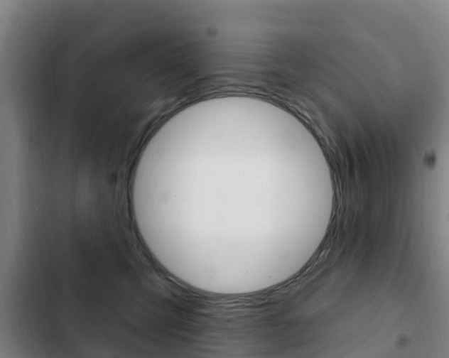 X0000103230423200808280955