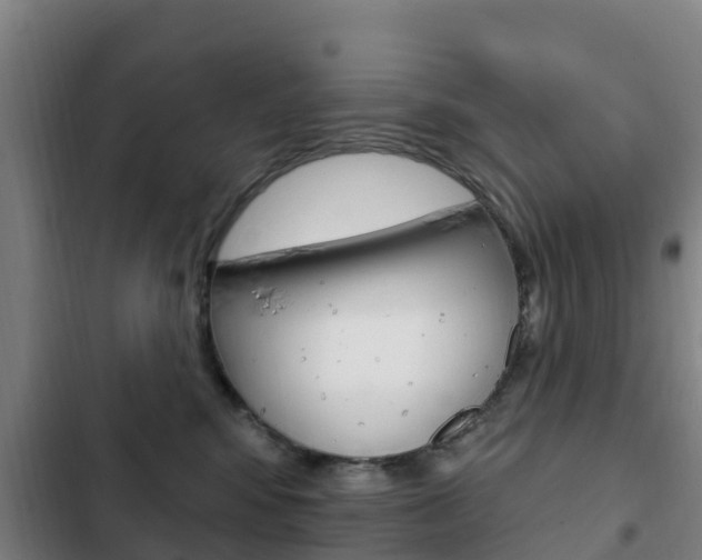 X0000103230424200808280955