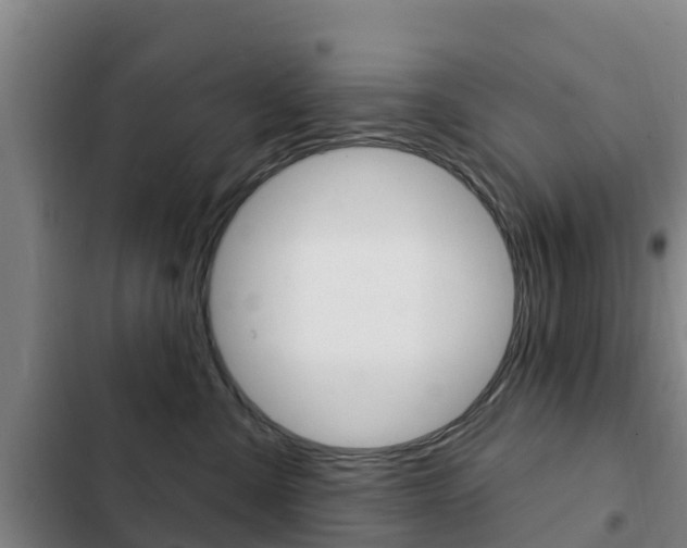 X0000103230427200808280955