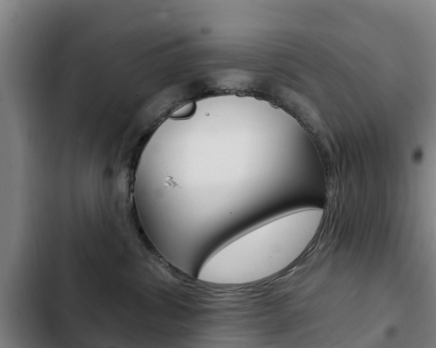 X0000103230428200808280955