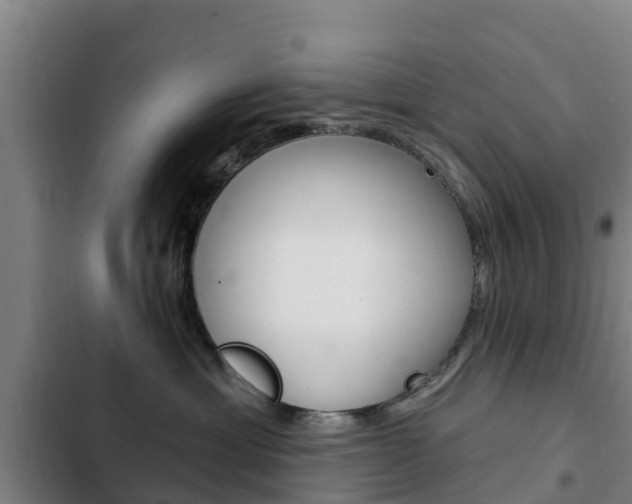 X0000103230429200808280955