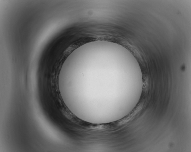 X0000103230430200808280955