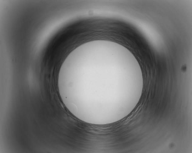 X0000103230431200808280955