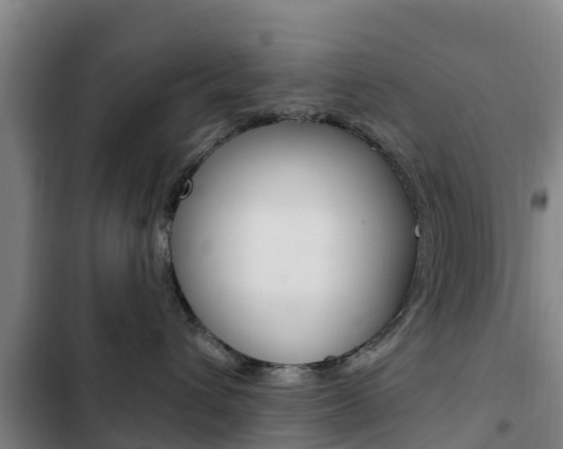 X0000103230432200808280955