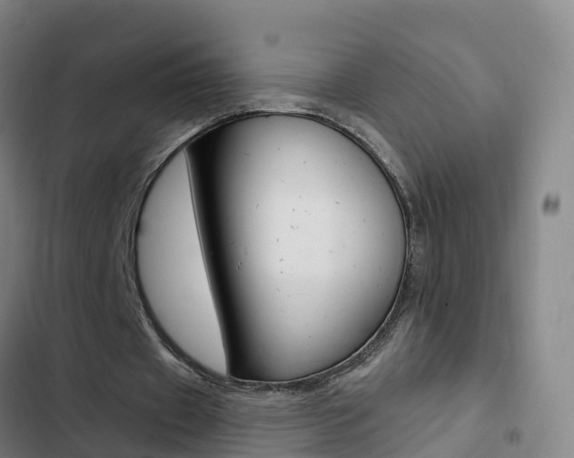 X0000103230433200808280954