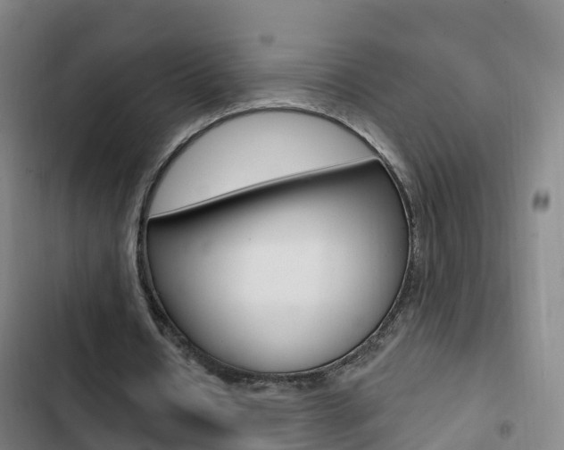 X0000103230434200808280954