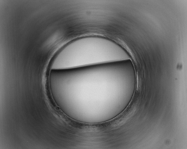 X0000103230435200808280954