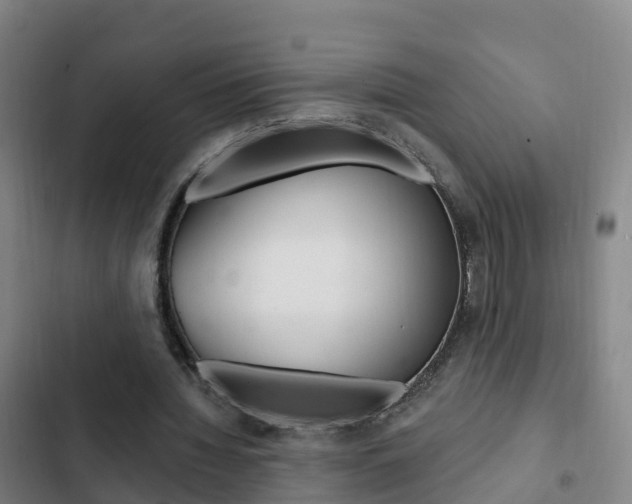 X0000103230436200808280954