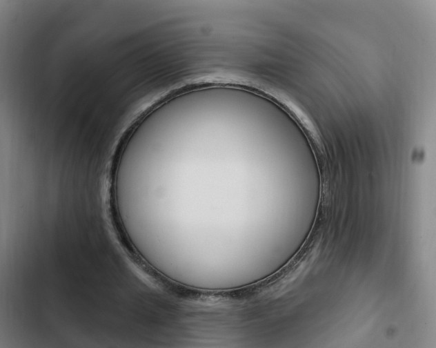 X0000103230437200808280954