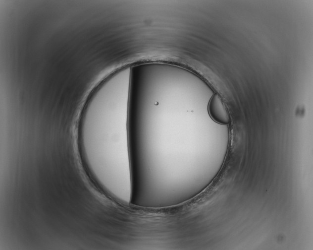 X0000103230438200808280954