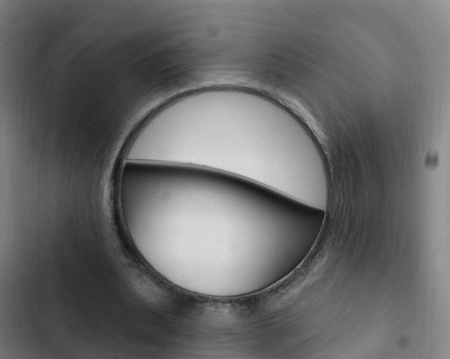 X0000103230439200808280954