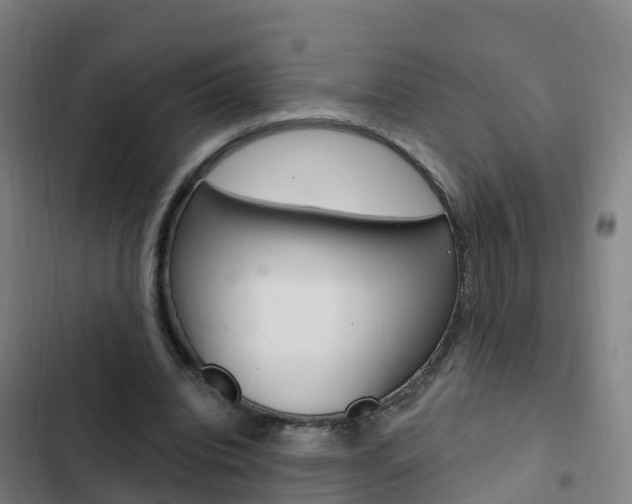 X0000103230440200808280954