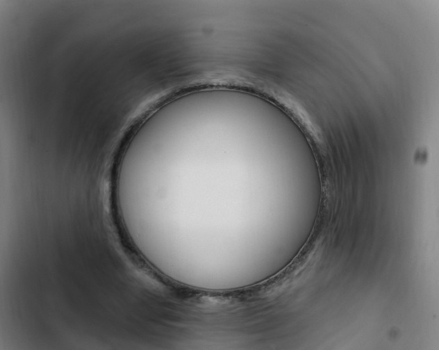 X0000103230442200808280954