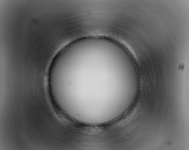 X0000103230443200808280954