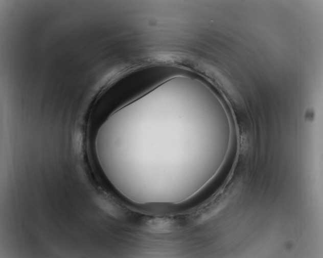 X0000103230444200808280954